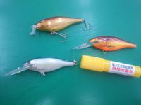 八郎潟ガイド日程。 2013/10/29 20:06:39