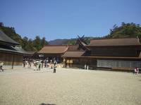 プラの最後は神頼み！！！ 2013/05/24 19:00:10
