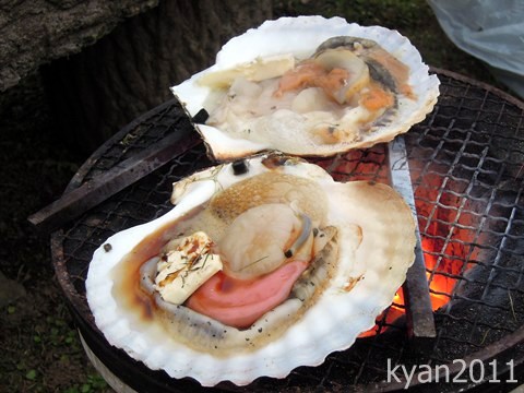 ホタテ