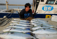 メジロ・メジロ・・・・・・・・メジロ！ 2012/04/25 10:10:00