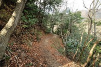 行者尾根の東隣の尾根、今度はちゃんと出れたけど・・・