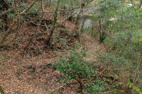 行者尾根の東隣の尾根、今度はちゃんと出れたけど・・・