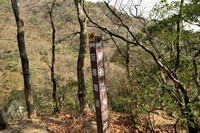 行者尾根の東隣の尾根、今度はちゃんと出れたけど・・・