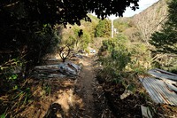 行者尾根の東隣の尾根、今度はちゃんと出れたけど・・・