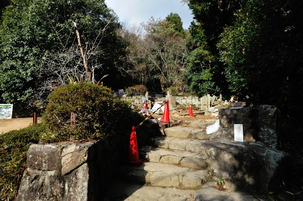 行者尾根の東隣の尾根、今度はちゃんと出れたけど・・・