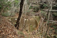 行者尾根の東隣の尾根、今度はちゃんと出れたけど・・・