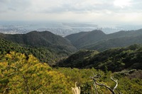 行者尾根の東隣の尾根、今度はちゃんと出れたけど・・・