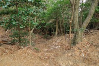 行者尾根の東隣の尾根、今度はちゃんと出れたけど・・・
