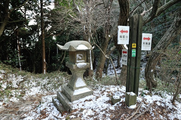 行者尾根の東隣の尾根、今度はちゃんと出れたけど・・・
