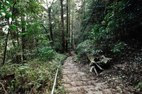 行者尾根の東隣の尾根、今度はちゃんと出れたけど・・・