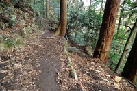 行者尾根の東隣の尾根、今度はちゃんと出れたけど・・・