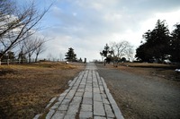 行者尾根の東隣の尾根、今度はちゃんと出れたけど・・・