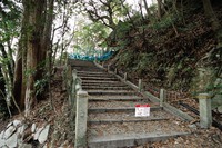 行者尾根の東隣の尾根、今度はちゃんと出れたけど・・・