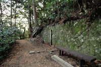 行者尾根の東隣の尾根、今度はちゃんと出れたけど・・・