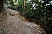 行者尾根の東隣の尾根、今度はちゃんと出れたけど・・・