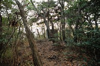 行者尾根の東隣の尾根、今度はちゃんと出れたけど・・・