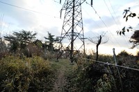 行者尾根の東隣の尾根、今度はちゃんと出れたけど・・・