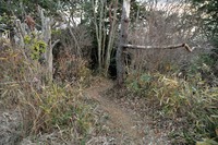 行者尾根の東隣の尾根、今度はちゃんと出れたけど・・・