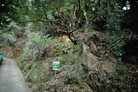 行者尾根の東隣の尾根、今度はちゃんと出れたけど・・・