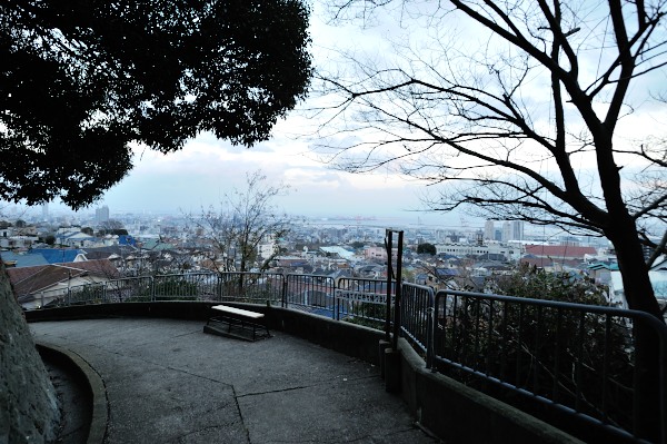 行者尾根の東隣の尾根、今度はちゃんと出れたけど・・・