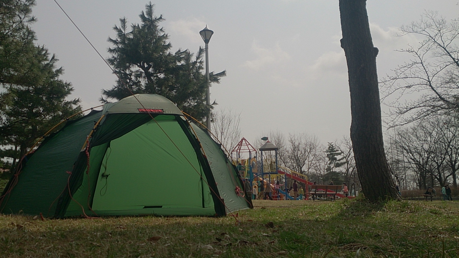 そーいえば、亀田公園へ行った気がします。