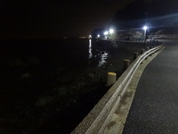 ロックフィッシュに癒されて 2015/01/26 01:15:27