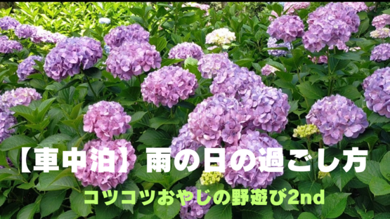 【車中泊】雨の日の過ごし方