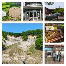 【ジオストーリー】伊豆半島から関東山地のジオパークを巡るくるま旅
