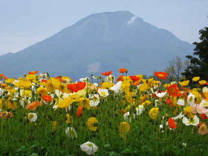 5月キャンプ  in  緑水湖オートキャンプ場