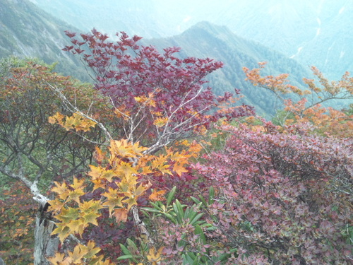 谷川岳 ～ リベンジ