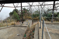 行者尾根の東隣の尾根、今度はちゃんと出れたけど・・・