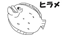 釣れる魚より釣りたい魚。。それが苦悩 2009/11/29 16:36:09