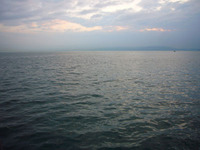 真夏にメバル自己記録更新 2009/08/01 02:15:31