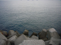 PC復活！ 釣果も復活！ 2009/09/04 10:34:19