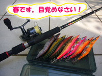 春は春でやることあります。 2010/03/28 18:29:02