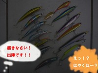 紀北 ショアジギ2010　開幕！！ 2010/05/29 11:41:08
