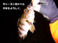 南紀サーフで最後の挑戦！ 2010/12/05 17:01:47