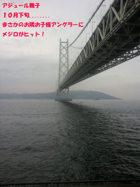 紀北サーフでマゴチと戯れる 2010/11/23 16:53:11