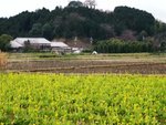 自転車（３）～飛鳥・藤原の宮都とその関連資産群めぐり（１）～