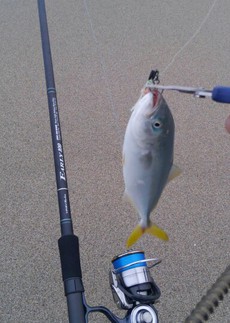 2019 07 07 湯ノ湖 2019/07/09 00:54:52
