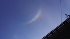 ゴールデン　(オマケ) 2019/05/11 01:57:08