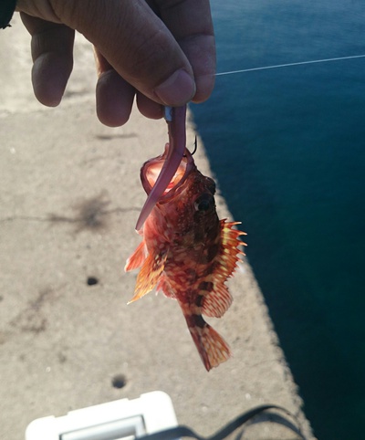 鷹島ヤリヤリハーレム