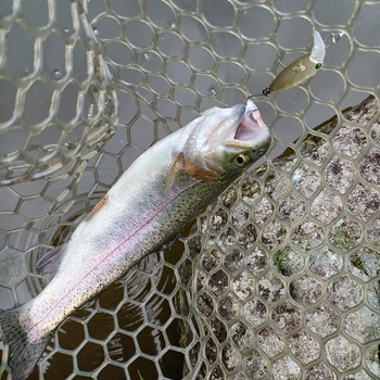 約1ヵ月振りの釣り・・・【2024年9月23日】FishON鹿留