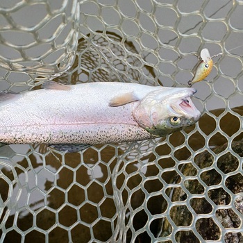 約1ヵ月振りの釣り・・・【2024年9月23日】FishON鹿留