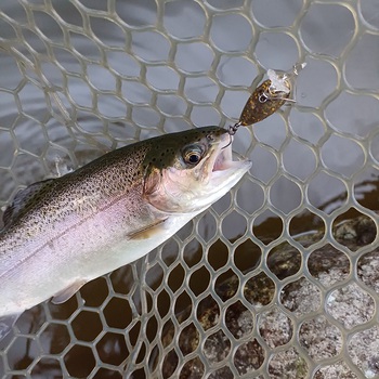 約1ヵ月振りの釣り・・・【2024年9月23日】FishON鹿留