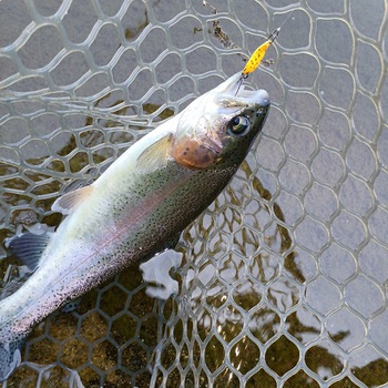 5ヵ月振りにココへ！【2025年4月29日】ベリーパーク in Fish’ON!鹿留