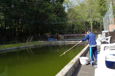 水海道あすなろの里キャンプ場①家族の要求全てに応えるキャンプ場発見！
