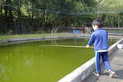水海道あすなろの里キャンプ場①家族の要求全てに応えるキャンプ場発見！