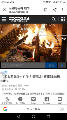 今年最後の焚火は都内某所まさかの場所で