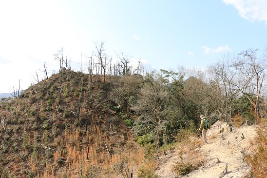 竜ヶ岳